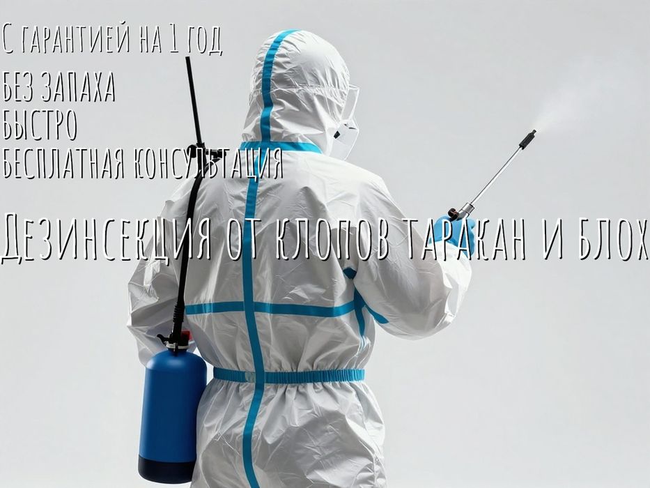 Клопы постельные тараканы насекомые