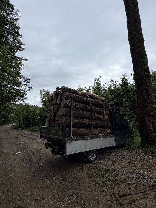 Lemn de foc  bustean