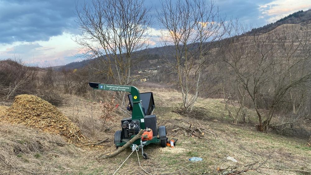 Tocare și tăiere crengi - curățare grădini - producere mulci
