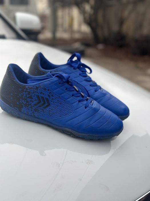 Сороконошка синие