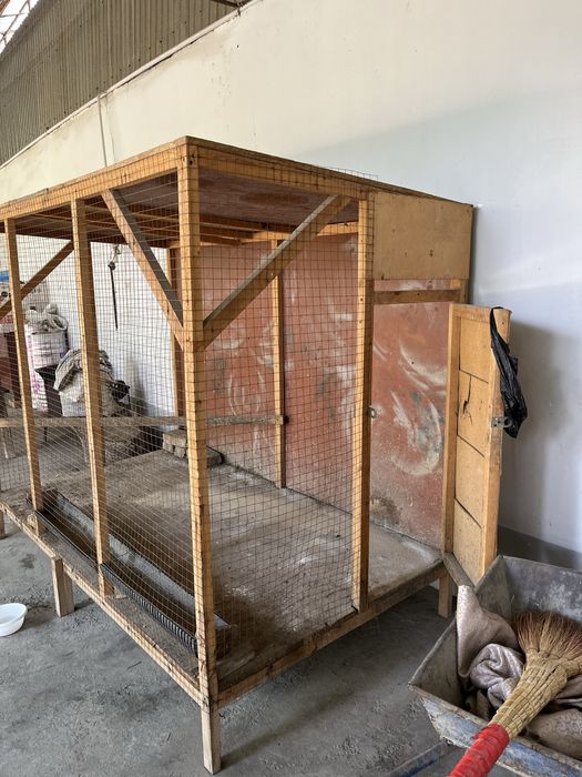 Tovuq katak 2.15ga bo’yi 1.75