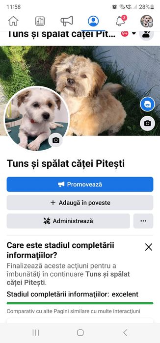 Tund câini de talie mică și medie