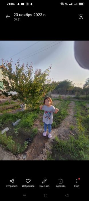 Датча сатылады тасбугетте