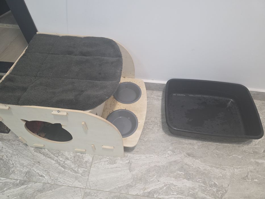 vand căsuța pisici si litiera