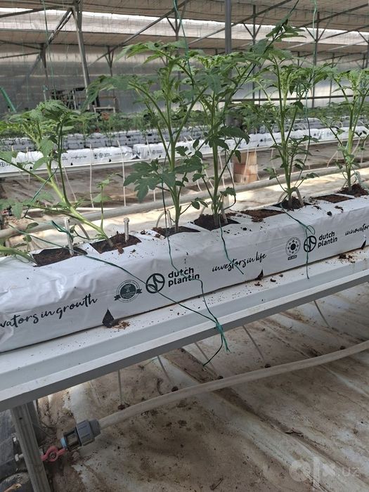 Субстрат кокосовый в матах, от Dutch Plantin (Индия)