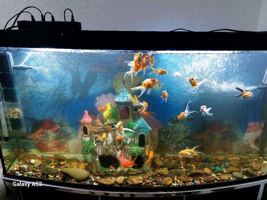 Продаётся аквариум