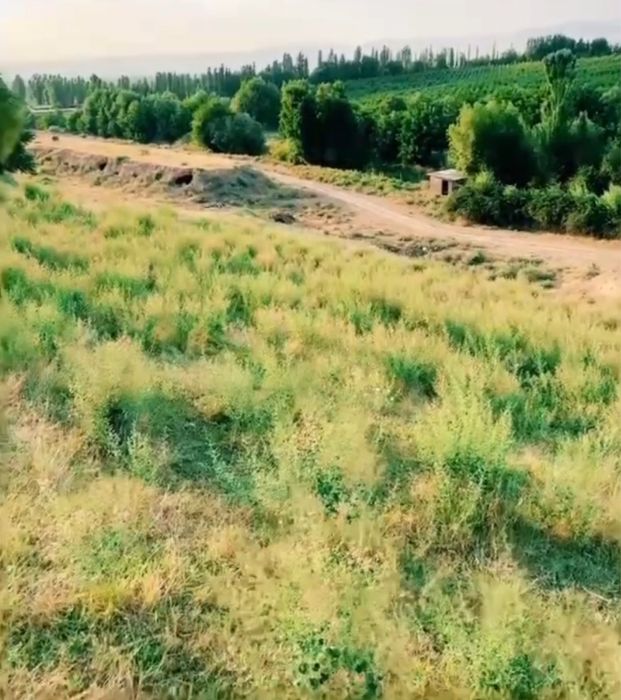 Земля для бизнеса и прочего