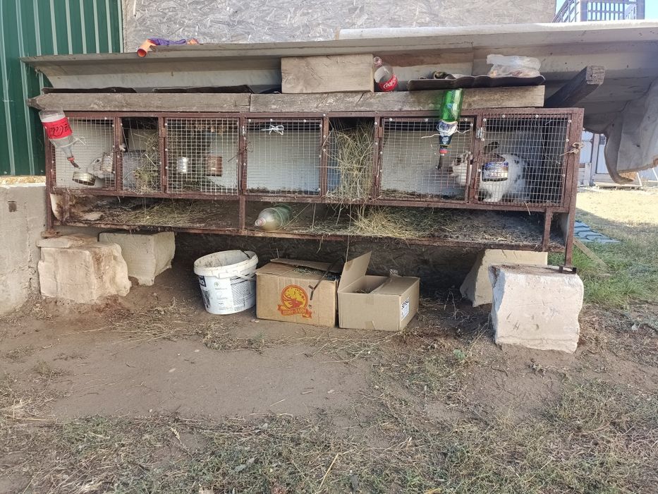 Крольчатник - клетка