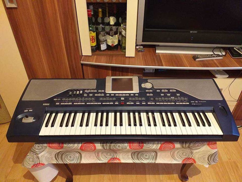 Korg Pa 800 Cu Mp3