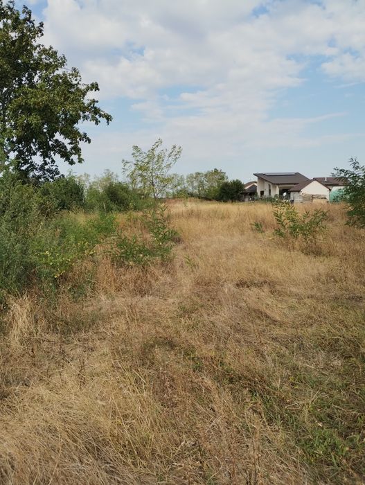 3300 mp intravilan, construibil, Tartasesti, utilitati