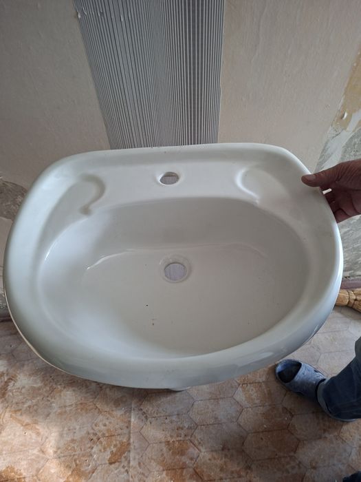 Тюльпан раковина