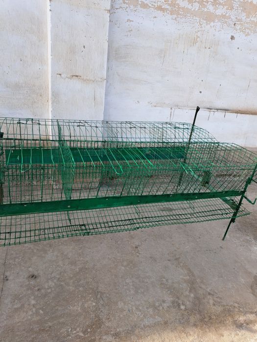 Setka sogiladi 300.000