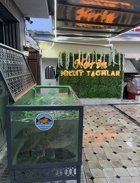 Akvarium kafe restoranlar uchun