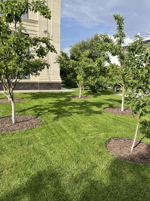 _Все услуги САДОВНИКА._ 1