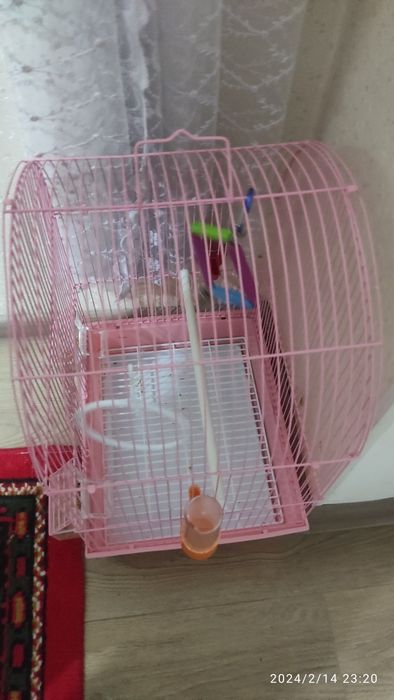 Клетка для попугая