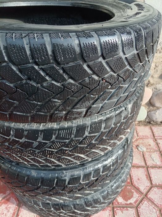 Qishki balon holati orta