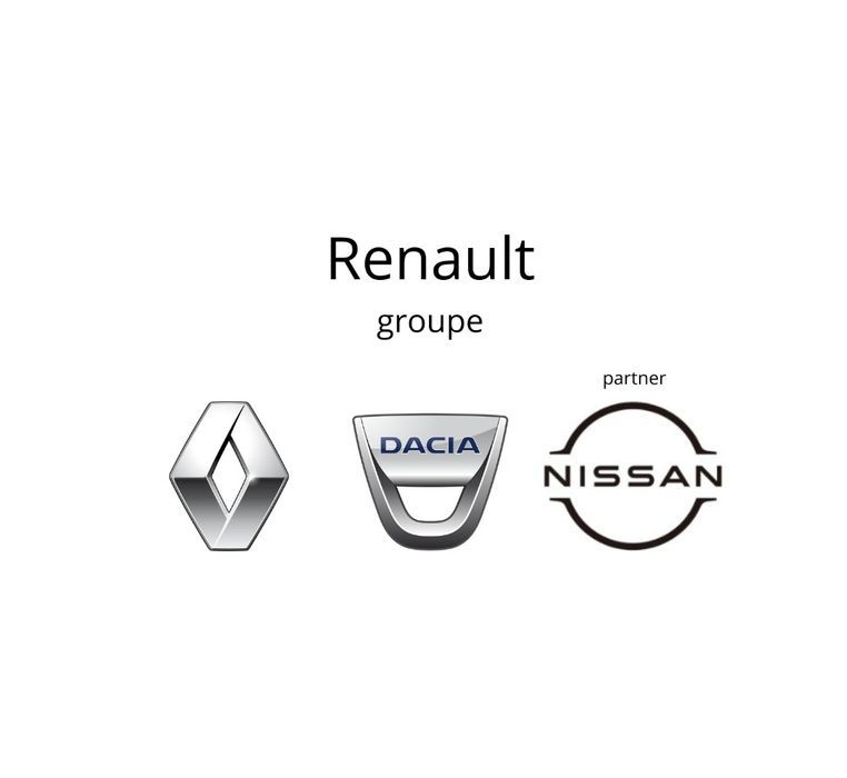 Оригинална ремъчна шайба за водна помпа  Рено/Дачия