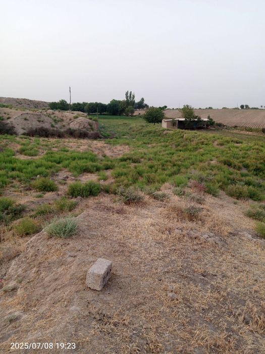 Tomorqa sotiladi suroshni dala