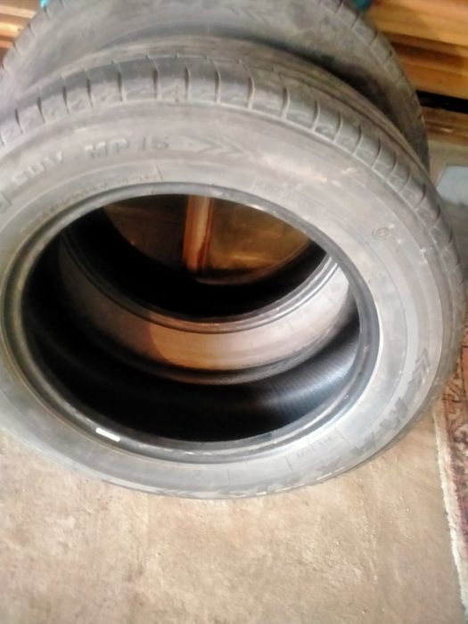 Продам шины летние MAXXIS