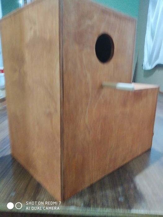 Ожиреливые попугаи