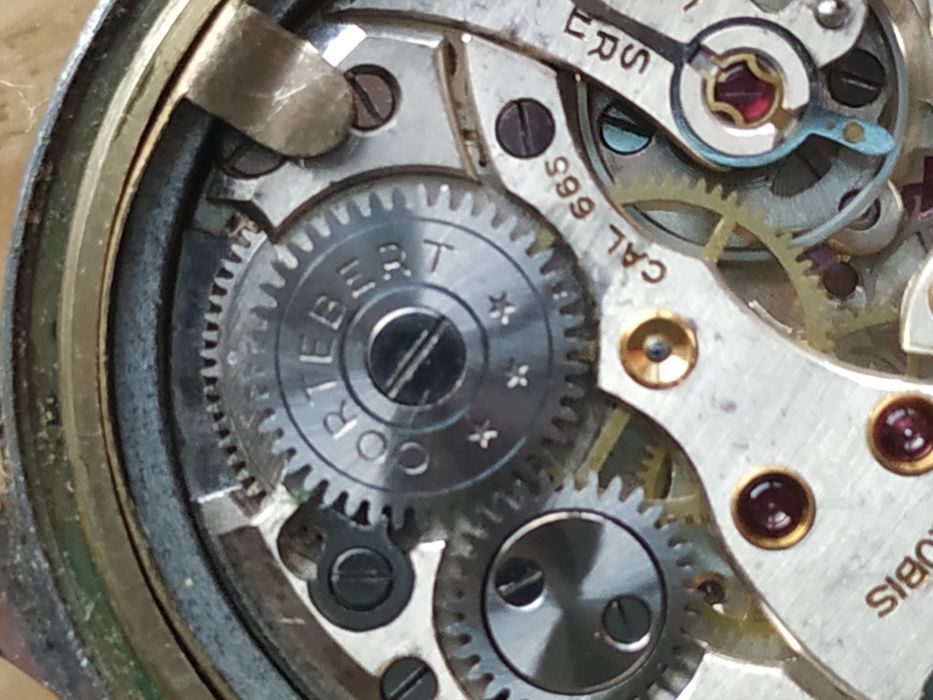 Ceas barbatesc Cortebert