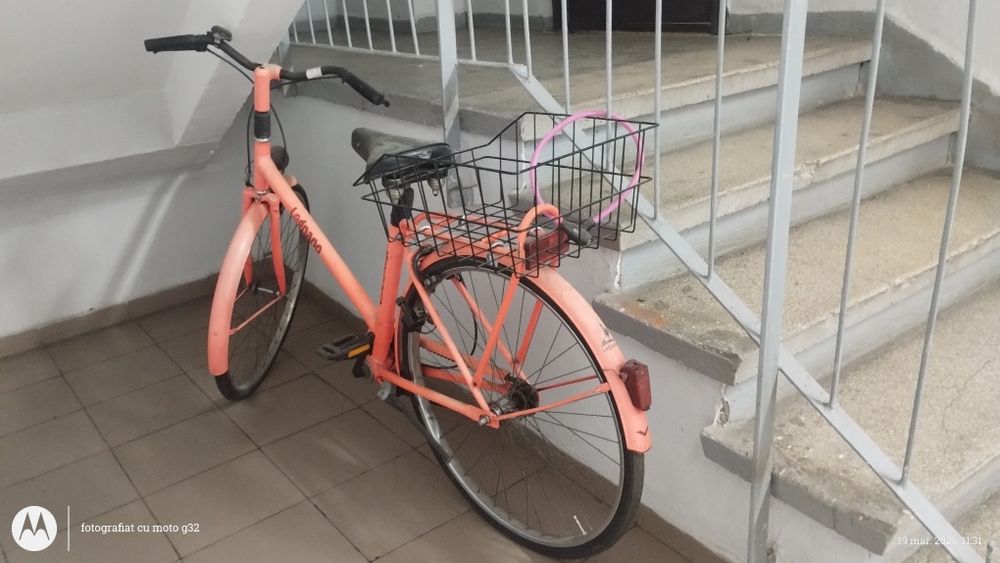 Bicicleta de dama