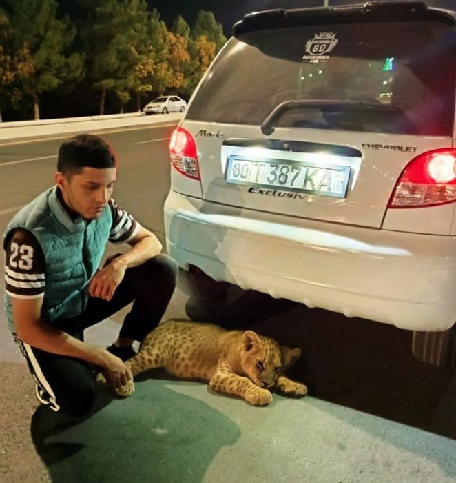 Chevrolet Matiz 2012 — 5