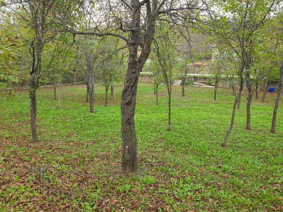 Продава се Къща в с. Косарка, Област Габрово - 70 кв.м за 743 €/кв.м - Снимка #14