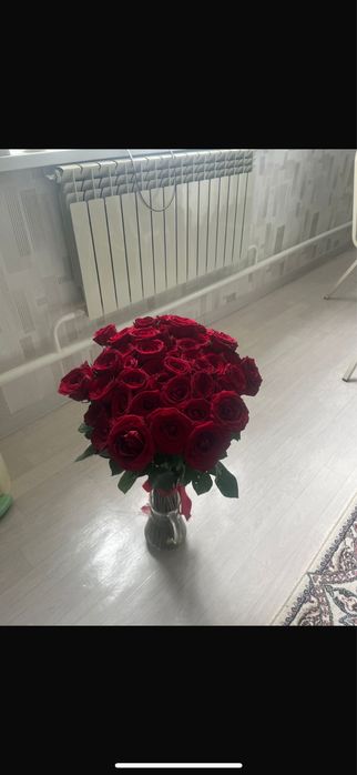 51 шт қызыл роза