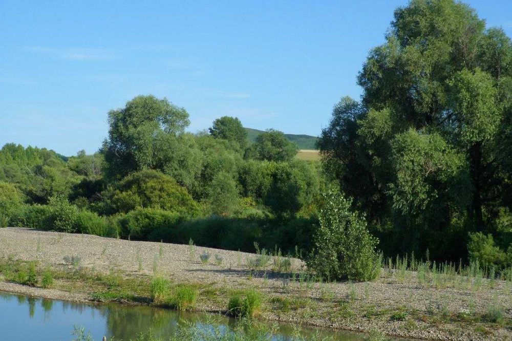 Продам дом в селе Быструха