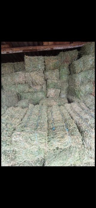 Baloti: Lucerna /Paie/Miriste/Fan.