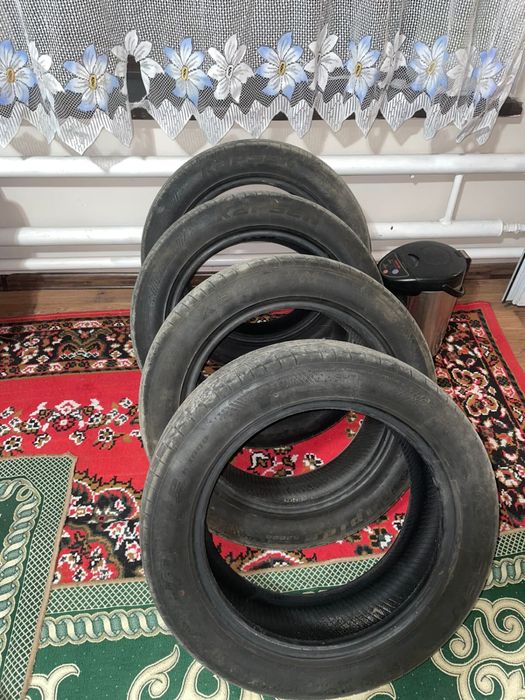 Ризина 17 лік жап жаңа