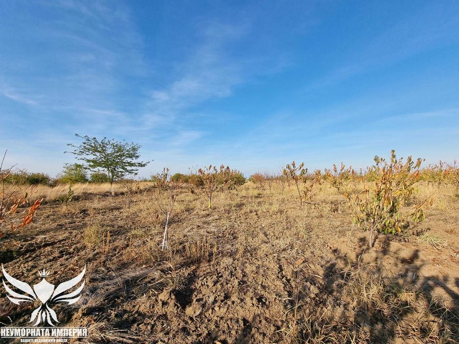 Продава се Земеделски имот в Асеновград -  кв.м за 3009 €/дка - Снимка #7