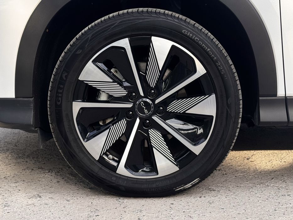 BYD chempion 2025 restaling