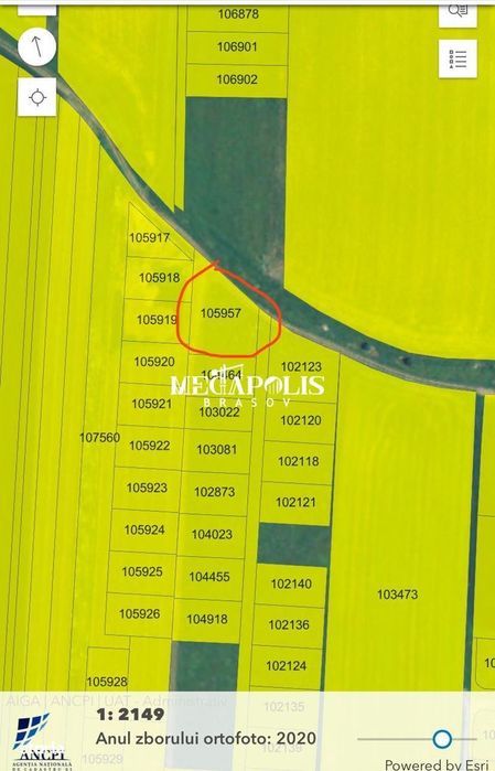 Teren Bod 1200mp/ 37 euro mp