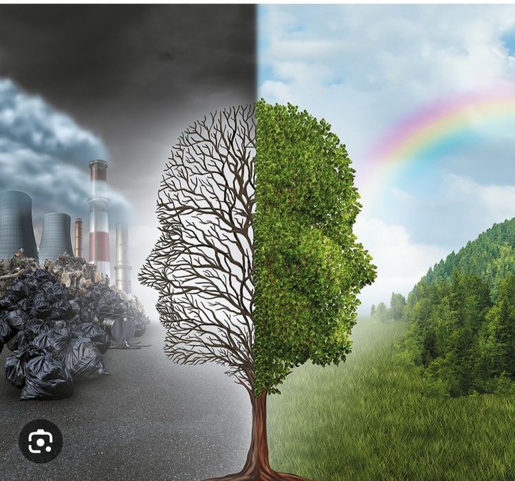 Звос Пдо Пдв Зеп Разработка нормативных документов по Экологии