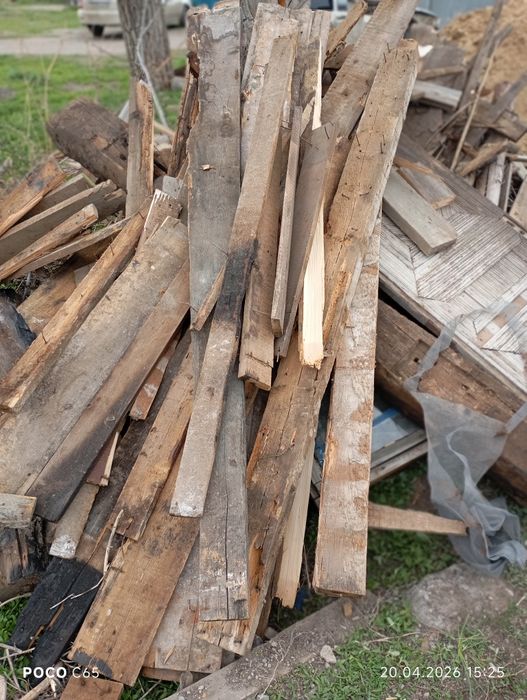 Отдам даром тегин беремин