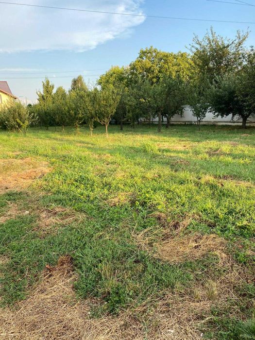 Vand teren stefanesti, strada Cavalerului