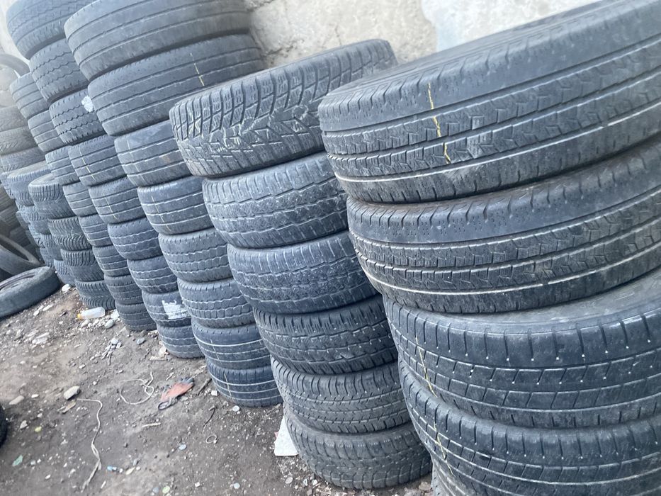 Шиналар бар бу сешка