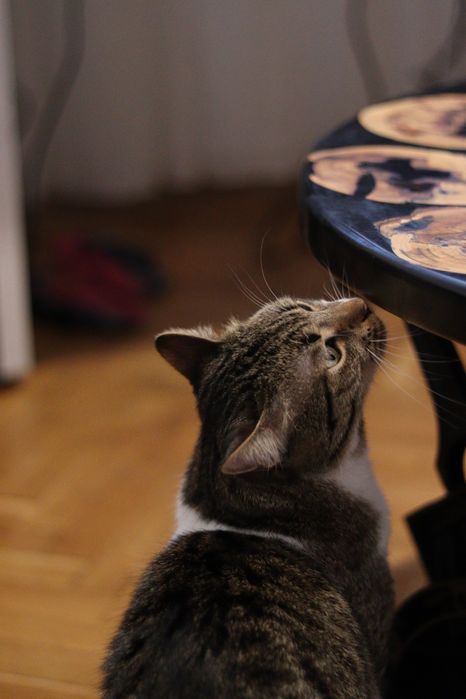 Маса V8 G Class с епоксиден плот смола