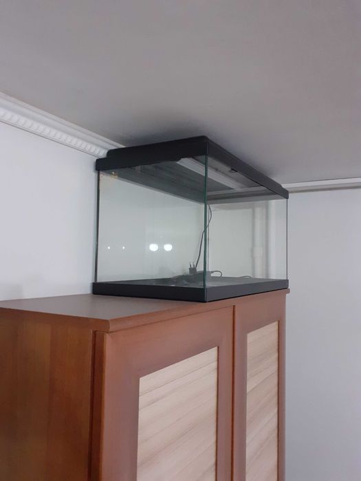 Acvariu 55 L cu accesorii