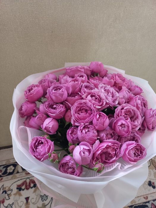 Цветы пионовидные розы (спрей)