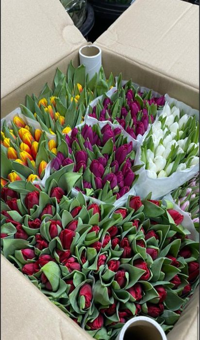 Тюльпаны оптом на 8 марта Алматы