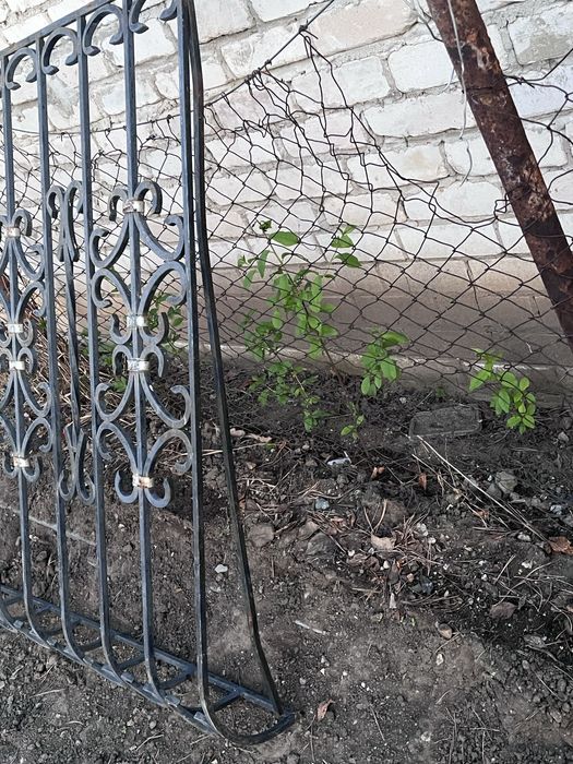 Кованные решетки