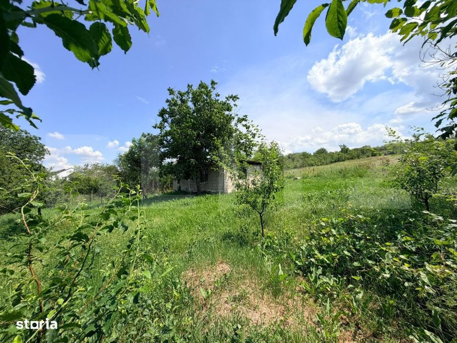 Teren intravilan de vanzare – Predesti, jud. Dolj – 2.232 mp