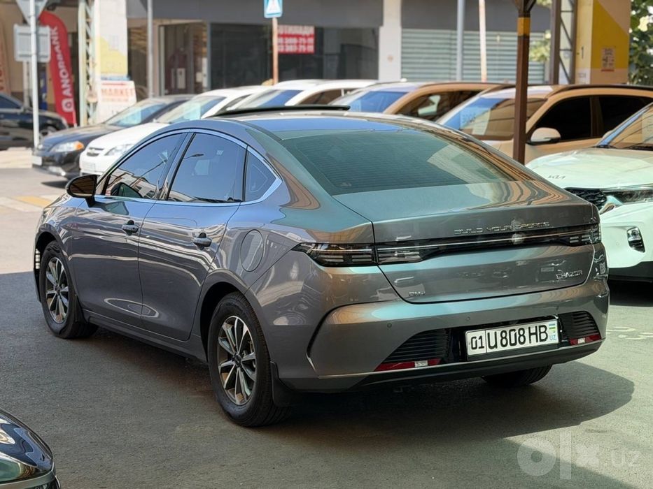 Byd Chazor 2026 2 lux pz