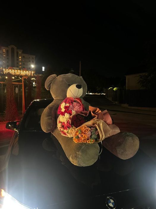 Гигатский мишка