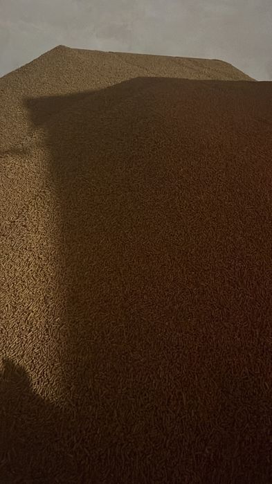 CGF Furaj Gluten de Porumb