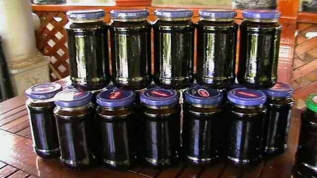 Compoturi de cireşe/vişine/coacăze negre
