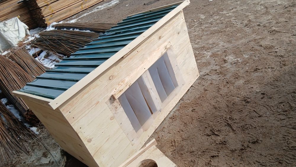 Продам  для  сабачи  бутки